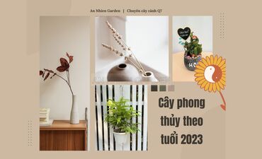 TOP CÁC LOẠI CÂY PHONG THỦY THEO TUỔI 2023