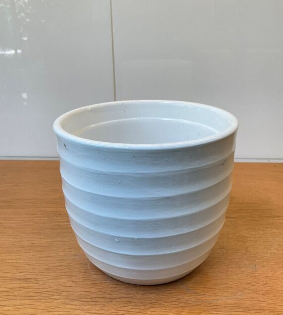 Chậu Sứ Bo Đáy Sọc Ngang | Màu Trắng